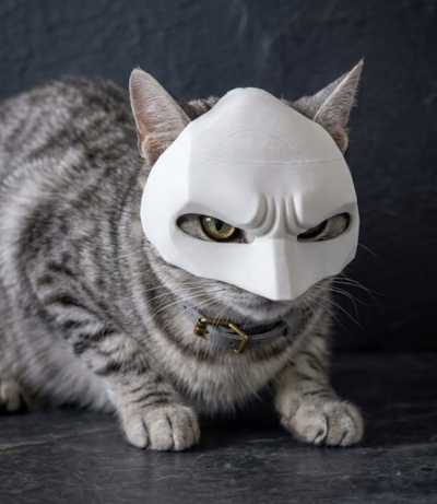 Masca Batman pentru pisici