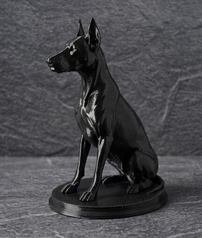 Bust Doberman