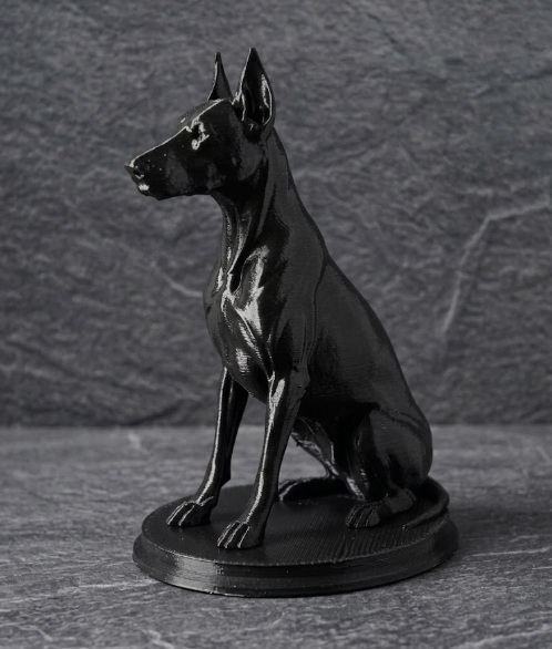 Bust Doberman