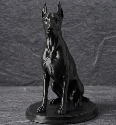 Bust Doberman